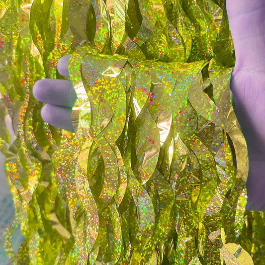 Sparkling fringe curtain backdrop creating a vibrant party atmosphere and photo booth setting