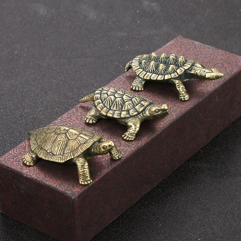 Four bronze turtle figurines on a dark surface