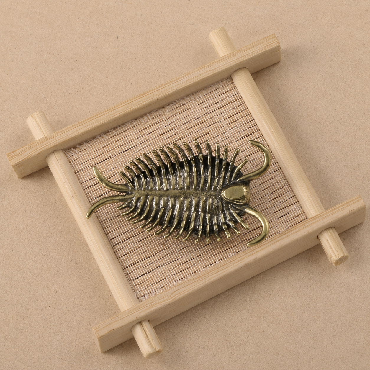 Brass Trilobite Desk Ornament Displayed on Woven Mat with Wooden Frame