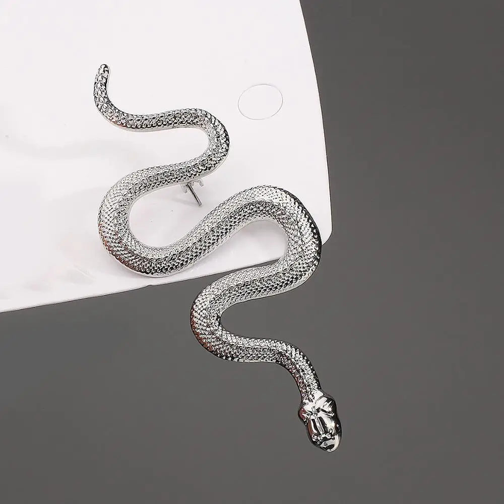 Silver snake brooch pin isolated on white background.